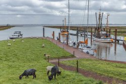 Varel_0059