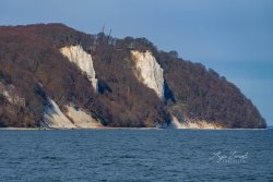 Rügen_Kreidefelsen06913