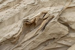 Rügen_Kreidefelsen07398