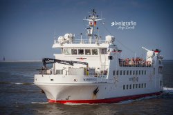 Wangerooge_08050