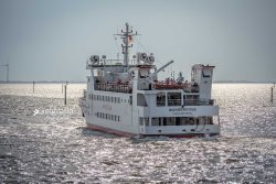 Wangerooge_08053
