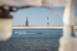 Wangerooge_08118