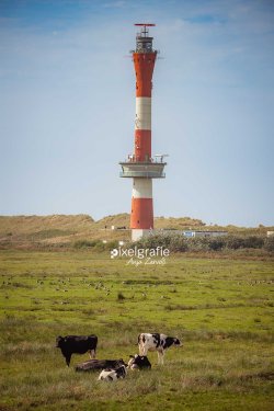 Wangerooge_08265