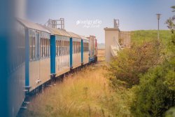 Wangerooge_08402