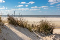 4223_langeoog