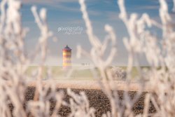 Pilsum_00441