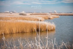 Pilsum_00467