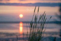Bensersiel_02783
