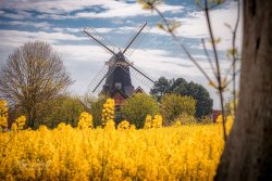 Carolinensiel_09253