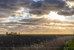 pilsum_6746