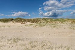 0745_StPeterOrding