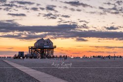 0883_StPeterOrding